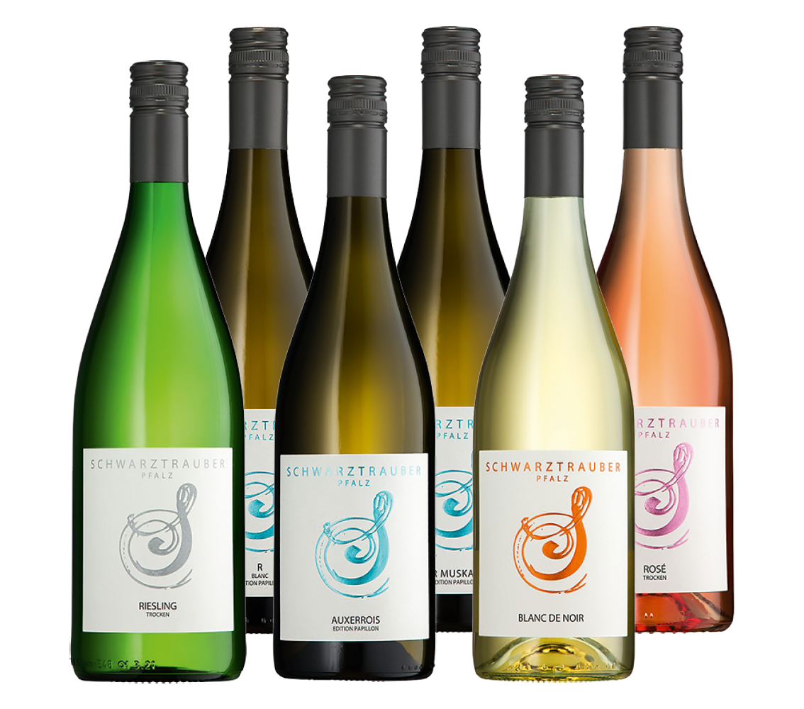 6er Probierpaket "Vive la Pfalz"