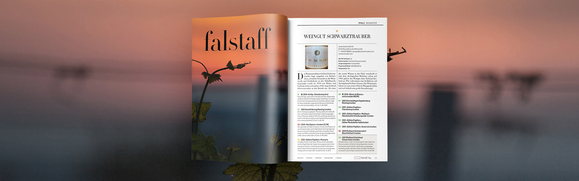 fastaff-artikel-magazin