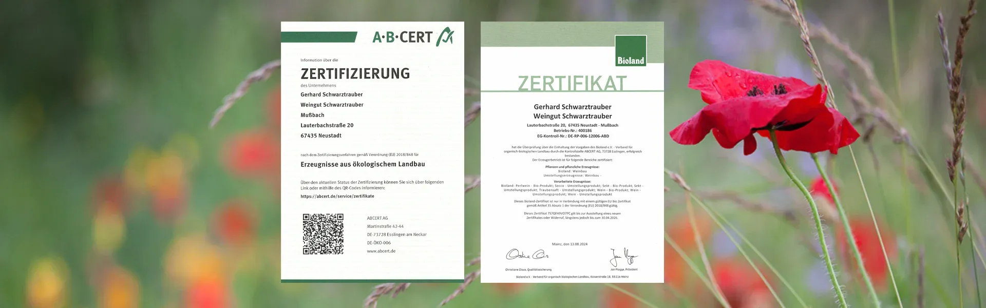 ABCert-auszeichnungen
